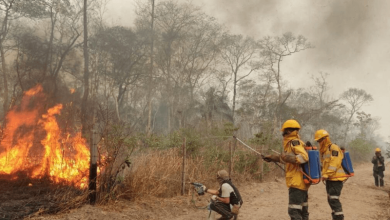 uae dispatches urgent food supplies for bolivia forest fire survivors