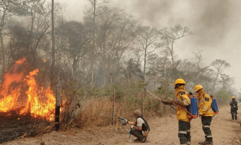 uae dispatches urgent food supplies for bolivia forest fire survivors