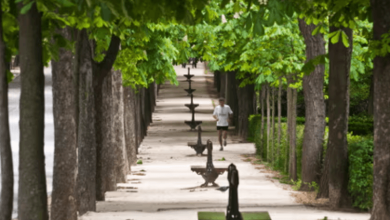 urban green spaces cutting heat risks while enhancing public health