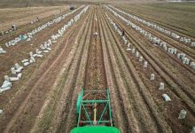 adapting agriculture chinas plan to climate proof potatoes