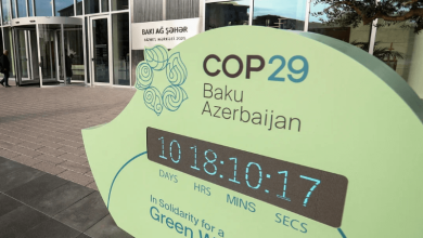 from pledges to progress whats and whos on the table at cop29