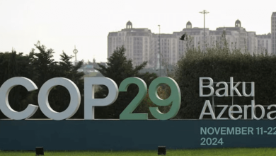 important topics ruling the climate agenda at cop29 summit in baku