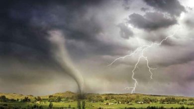 tamil nadu is prepared for cyclone fengal