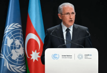 uae president stresses need for climate resilience at cop29 summit in baku