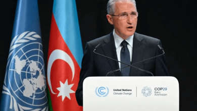 uae president stresses need for climate resilience at cop29 summit in baku