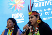 un cop16 approved a permanent indigenous peoples body for climate action