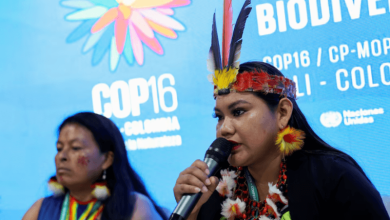 un cop16 approved a permanent indigenous peoples body for climate action