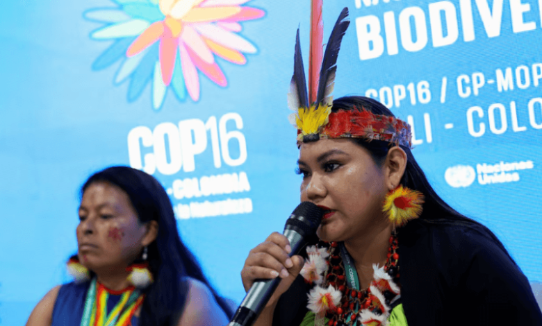 un cop16 approved a permanent indigenous peoples body for climate action