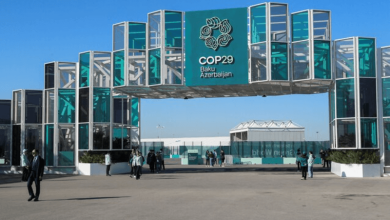 understanding 7 cop29 jargon as the climate summit commences in baku