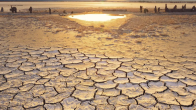 UN Convention to Combat Desertification (UNCCD) found that over 77% of Earth's surface had a drier environment in the three decades preceding 2020.