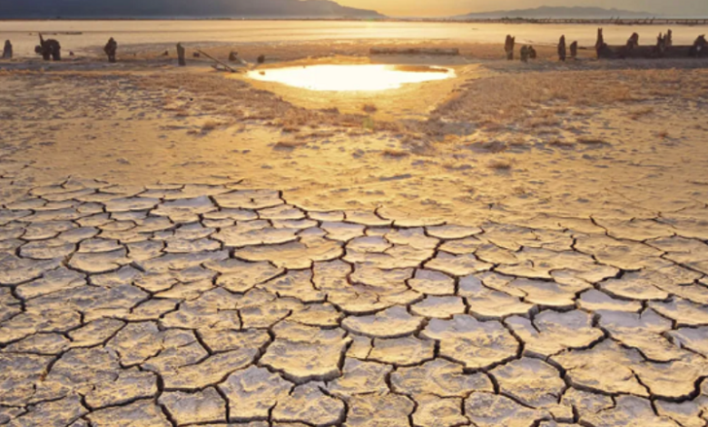 UN Convention to Combat Desertification (UNCCD) found that over 77% of Earth's surface had a drier environment in the three decades preceding 2020.