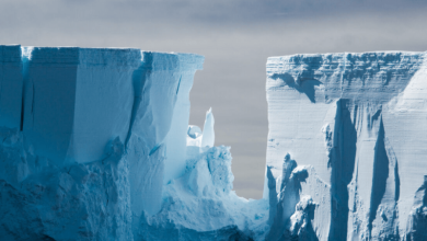 World's Largest Iceberg A23a Moves again After 30 Years