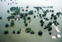 How 2024 Became the Year of Floods?