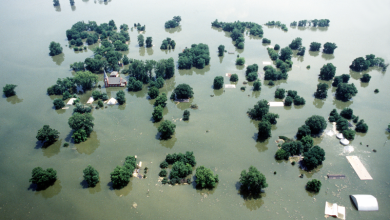 How 2024 Became the Year of Floods?