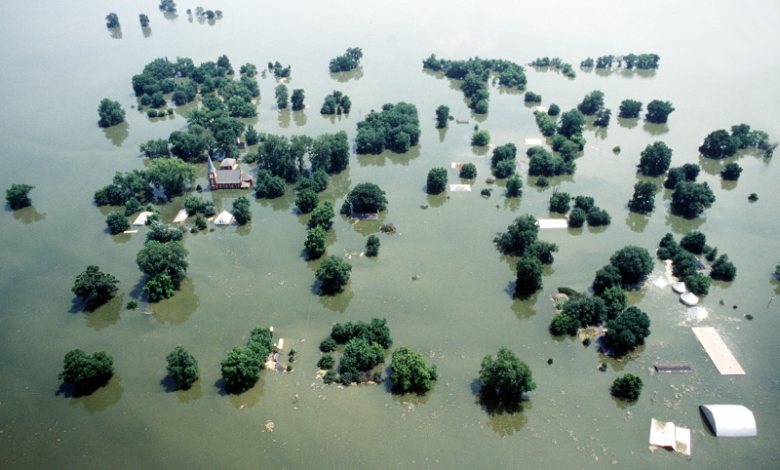 How 2024 Became the Year of Floods?