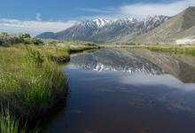 What Steps Are Being Taken to Safeguard Nevada's Mountain Ecosystems?