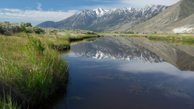 What Steps Are Being Taken to Safeguard Nevada's Mountain Ecosystems?