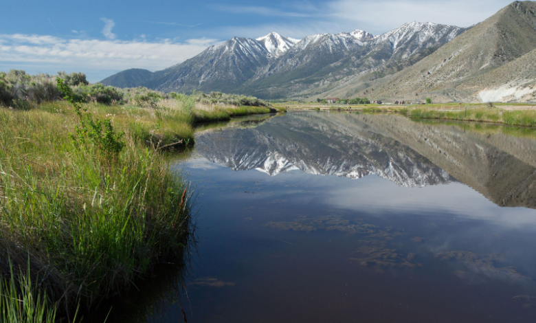 What Steps Are Being Taken to Safeguard Nevada's Mountain Ecosystems?