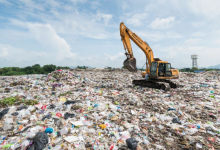 Srinagar Landfill Struggles with 11 Lakh Metric Tons of Waste