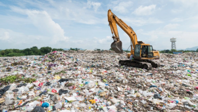 Srinagar Landfill Struggles with 11 Lakh Metric Tons of Waste