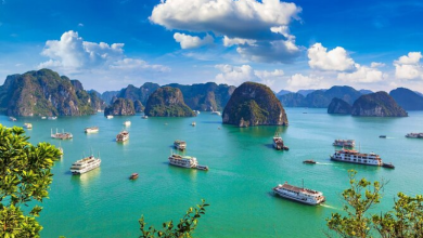 Ha Long Bay at Risk? UNESCO to Study Development Concerns