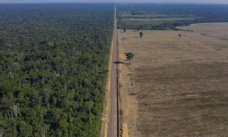 Brazilian Court Blocks Law Revoking Tax Breaks for Eco-Friendly Soy Producers