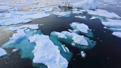 meltdown alert arctic ice could vanish by 2027 experts warn