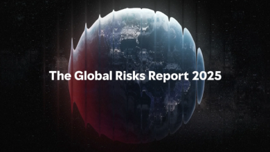 Global Risks Report 2025: Climate change takes up major spots on list