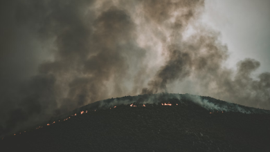 California fires: Cases of looting trigger multiple arrests