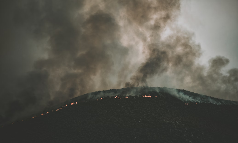 California fires: Cases of looting trigger multiple arrests