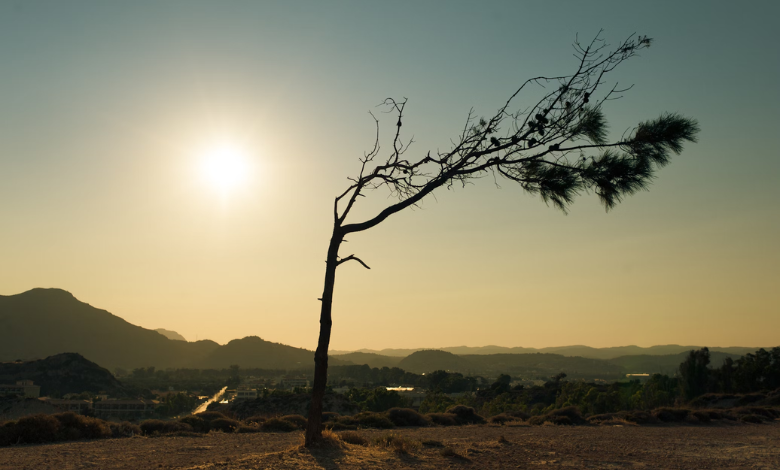 Climate change intensifies: Dangerous temperatures could kill 50% more people in Europe