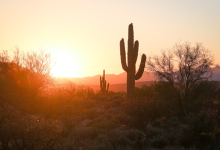 Climate change is making Phoenix drier and hotter