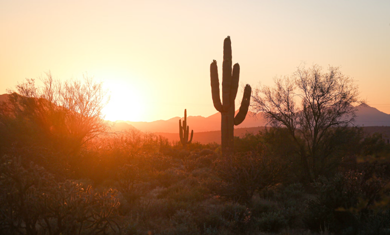 Climate change is making Phoenix drier and hotter