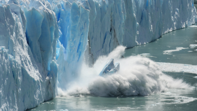 Climate change causing glaciers to lose more than 7 trillion tons of ice since 2000