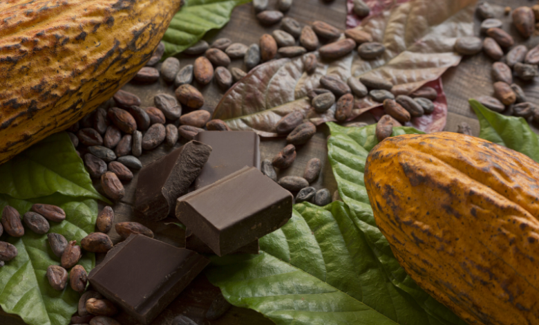 Is climate change hurting the chocolate industry? Let's find out.