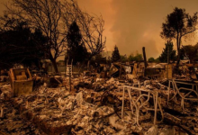 GoFundMe: This fundraising platform has already raised $250 million for California fires