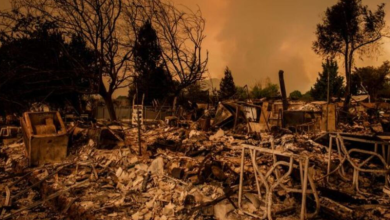 GoFundMe: This fundraising platform has already raised $250 million for California fires