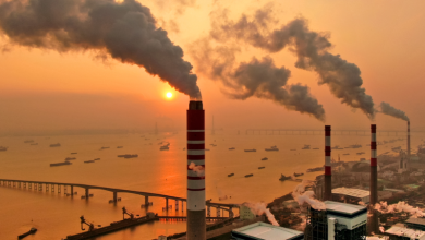 Coal and climate change: Can China reach its net zero goals on time?