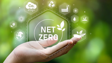 Net zero in focus: UAE notes substantial progress in logistics opportunities and digital readiness