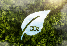 carbon credits