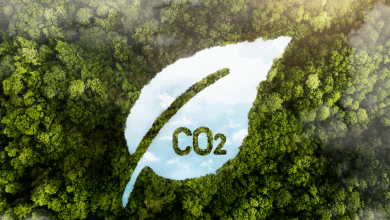 carbon credits