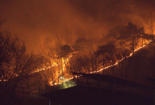 South Korea’s Wildfire Emergency Deepens, 3 More Areas Declared ‘Special Disaster Zones’