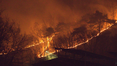 South Korea’s Wildfire Emergency Deepens, 3 More Areas Declared ‘Special Disaster Zones’