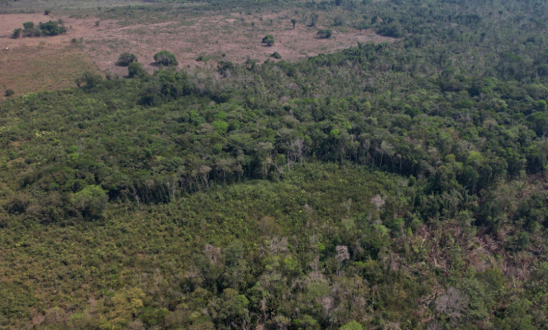 Ireland makes its first ever contribution of $16.3 million to Brazil’s Amazon Fund to battle deforestation and protect the rainforest.