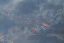 Japan forest fire burns largest area in more than 30 years