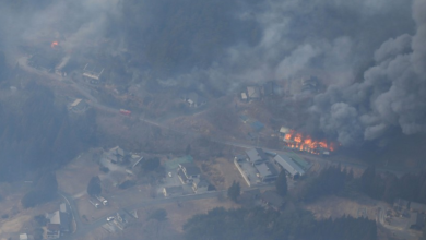 Japan forest fire burns largest area in more than 30 years