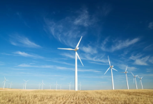 New Zealand Rejects Contact Energy’s Wind Farm Project Over Environmental Concerns