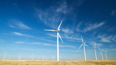 New Zealand Rejects Contact Energy’s Wind Farm Project Over Environmental Concerns