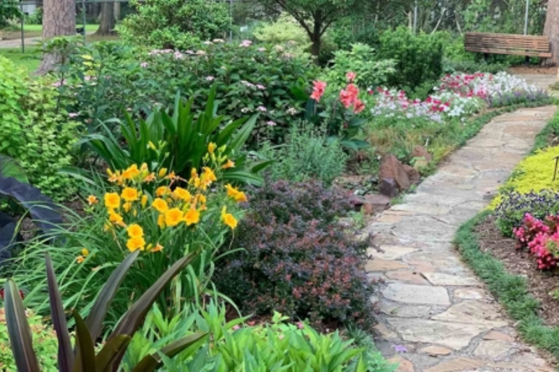 Plant Native Landscaping