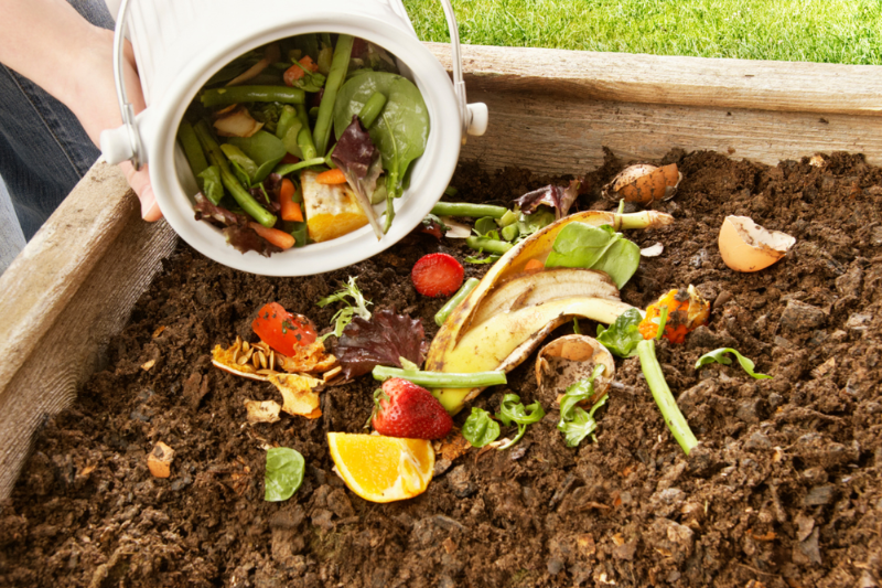 Start Composting Organic Waste